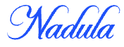 Nadula Hair Discount Code Logo